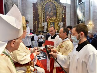 Kardinal Rode: »Dragi škof Mitja, bodi sol in luč«