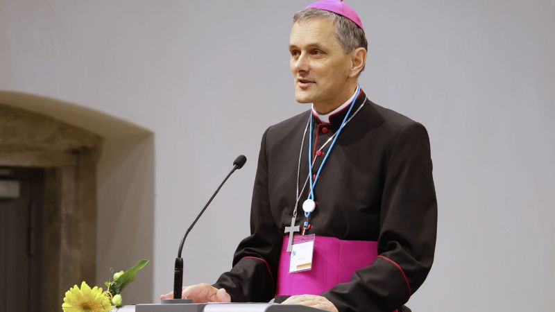 Novomeški škof Andrej Saje.