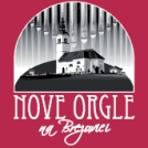 Dobrodelni koncert za nove orgle na Brezovici
