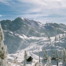 Družabni dnevi v Bohinjski Bistrici