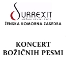 Koncert božičnih pesmi v Ljubljani