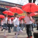 9. Festival prostovoljstva na celjskem
