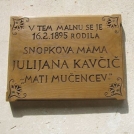 Spominska pot Julijane Kavčič iz Šentjošta
