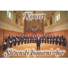 Koncert Slovenskega komornega zbora v Sevnici