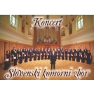 Koncert Slovenskega komornega zbora v Sevnici