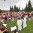Festival družin 2014