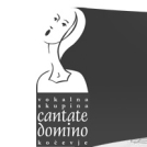Koncert ob 25-letnici Vokalne skupine Cantate Domino