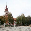 Praznovanje sv. Roka v Dravljah