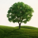 Duhovni vikend: Srečanje ob okrožnici Laudato si