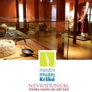 Strokovno vodstvo po razstavi Neviodunum