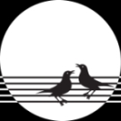 Osmi zborovski festival ljudske pesmi: Prevalje 2016