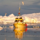 Potopisno predavanje v Babnem Polju: Grenlandija – zelena in ledena