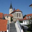 Koncert TE DEUM ob 10. obletnici novomeške škofije