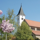 Dan za Magnificat 2016