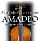 Koncert v Celju: škofjeloški orkester Amadeo
