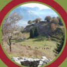 23. Tabor slovenskih otrok po svetu