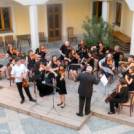 Večer v atriju: zdravniški orkester Camerata medica