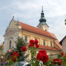 Škofijsko romanje v Petrovče ob 100-letnici fatimskih dogodkov