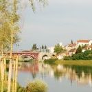 Praznovanje obletnice posvetitve bazilike Matere Usmiljenja