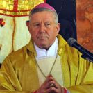 Blagoslov pastoralnega doma