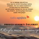 Okrogla miza o evtanaziji: Pravica ugasniti življenje?