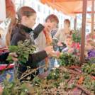 Delavnica butaric, loške postne jedi in druge pasijonske delavnice