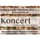 Kaiser Karl Festival 2019 IV. ed.: Cerkvena glasba v baročnem Rimu