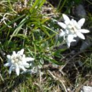 Duhovni vikend za zakonce: »Moj prav. Tvoj prav. Najin prav.«