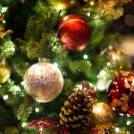 Božično novoletni koncert v Dolah pri Litiji