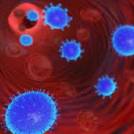 Namesto predavanja molitev