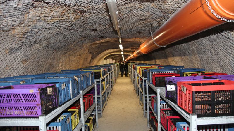 Huda Jama, rudnik Barbara rov, grobišče [6] | Družina – vsak dan s teboj