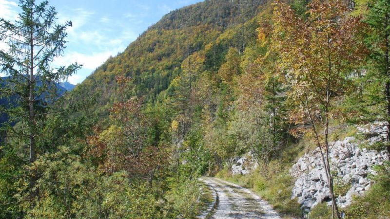 FOTO: Andrej Praznik