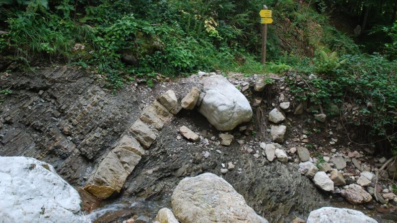 FOTO: Andrej Praznik