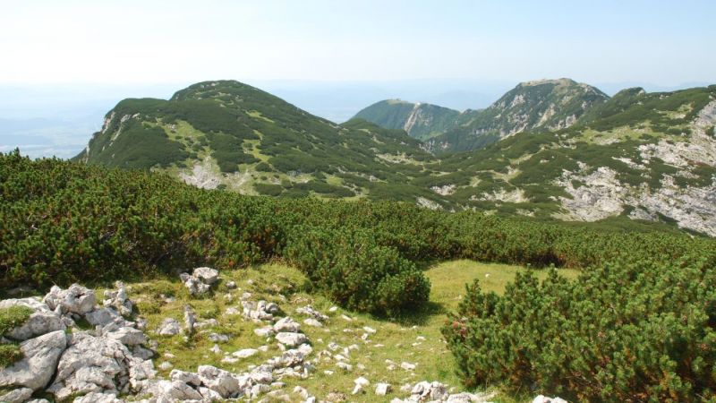 FOTO: Andrej Praznik