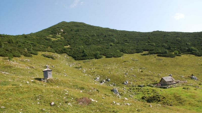 FOTO: Andrej Praznik