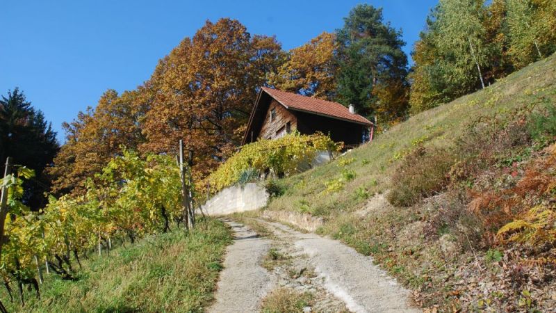 FOTO: Andrej Praznik