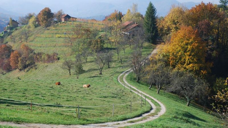 FOTO: Andrej Praznik