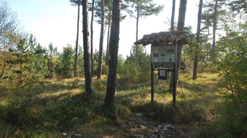 FOTO: Andrej Praznik