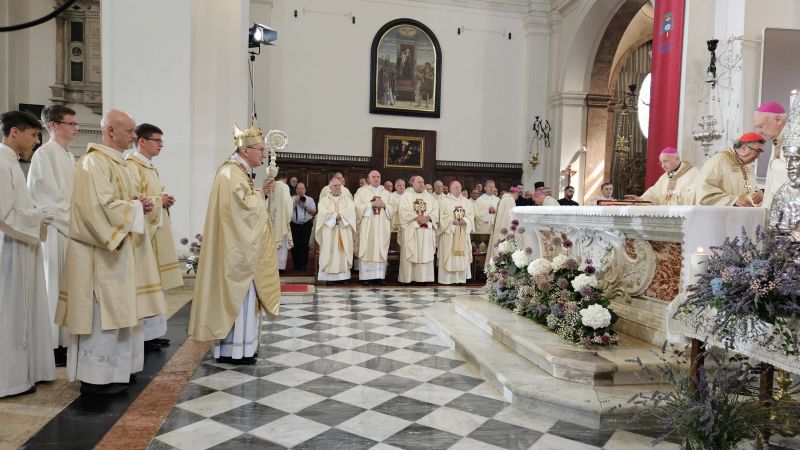 Dva kardinala, nuncij in 20 (nad)skofov. FOTO: Jože Potrpin