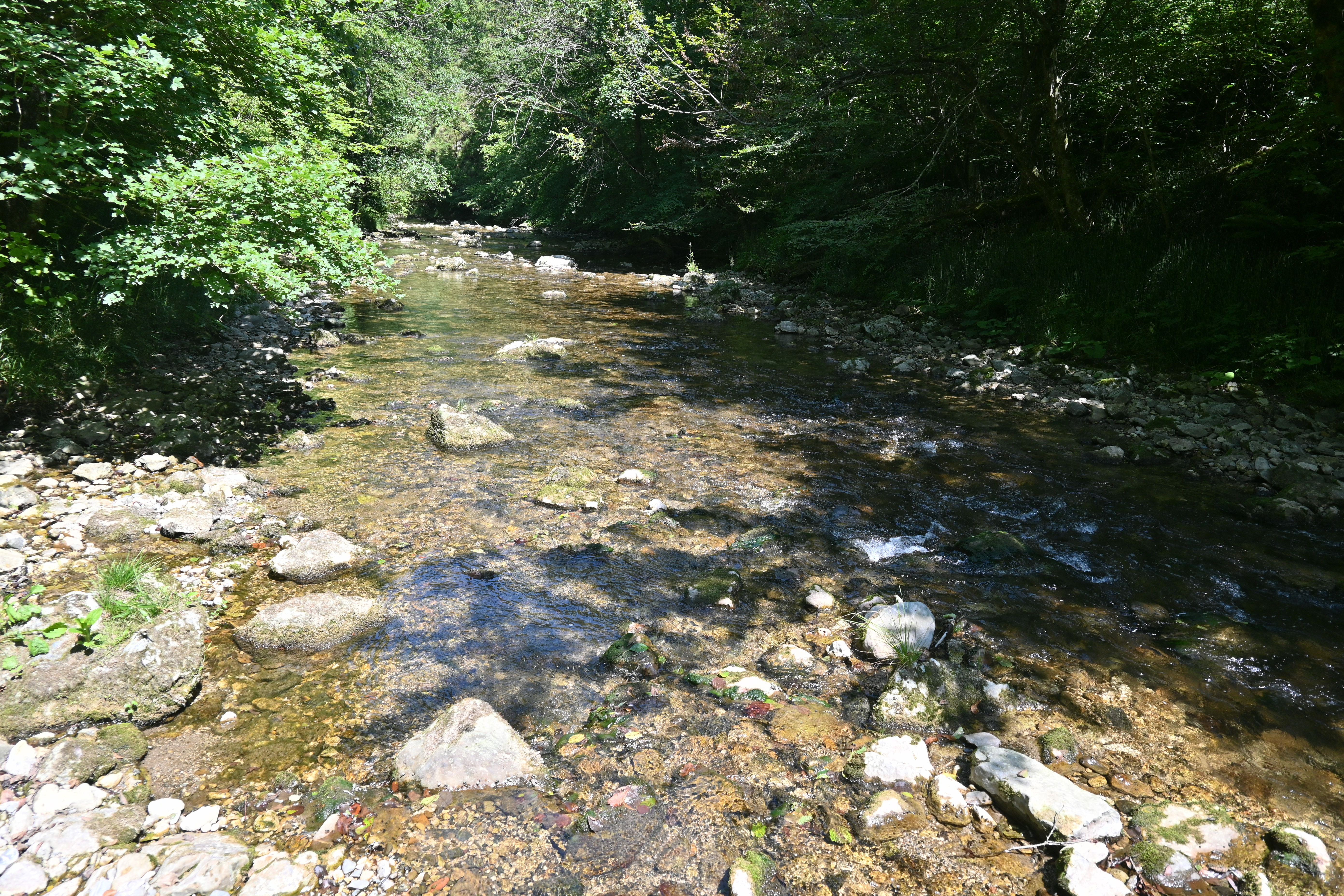 Namig za izlet: Šum vode pod Svetimi gorami [POTEPUH] | Družina – vsak ...