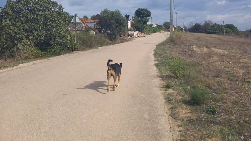 FOTO: Neža Tomažič