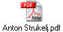 Anton Strukelj.pdf