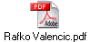 Rafko Valencic.pdf