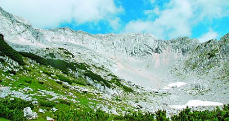 Bavški Grintovec, Družina