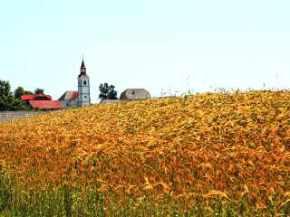 Evangelij in življenje