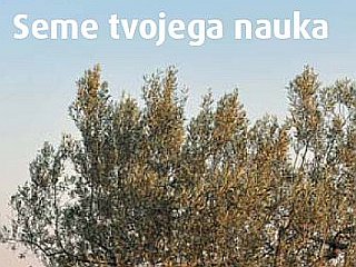 Molitev tedna