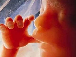 Evropski parlament zavrnil poročilo o splavu