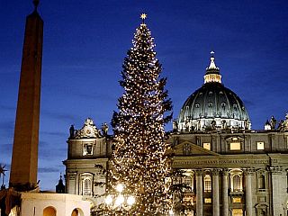 Božično drevo v Vatikanu že drugič z Bavarske