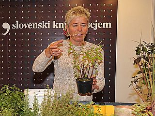 Okrog Blejskega jezera znova dobrodelni Ruthin tek