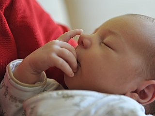 Dojenje in delo – kako deluje?